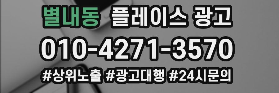 별내동 플레이스 광고