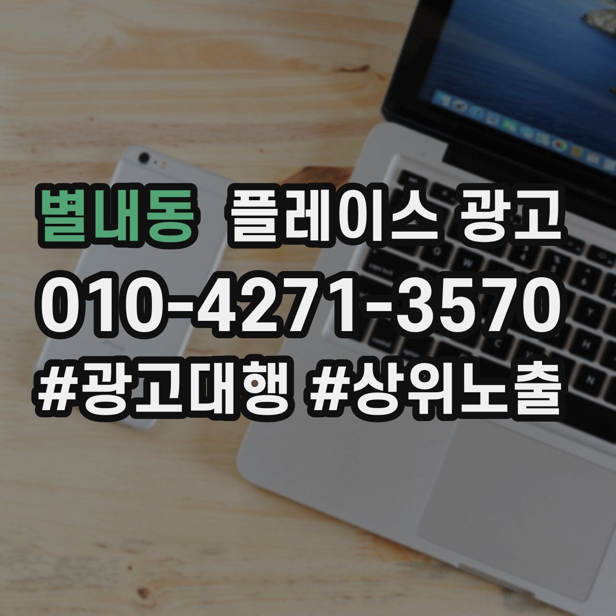 별내동 플레이스 광고