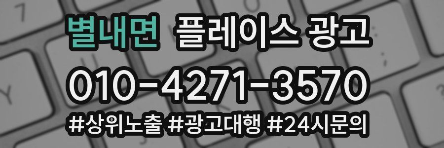 별내면 플레이스 광고