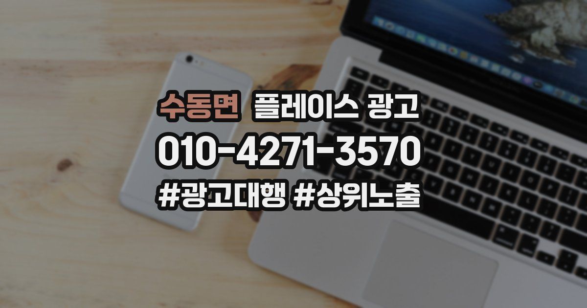 수동면 플레이스 광고