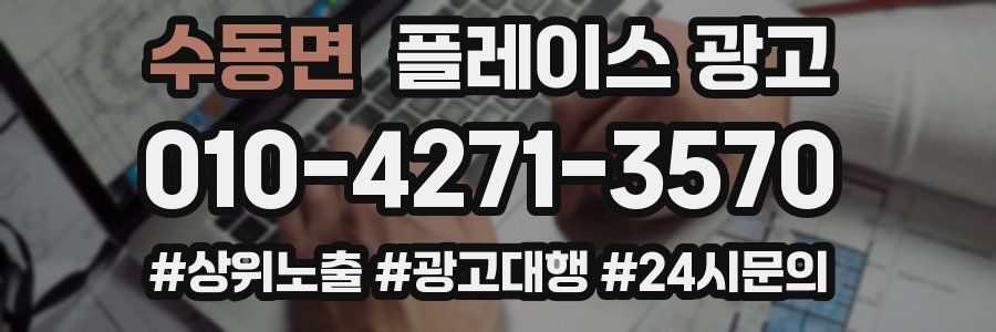 수동면 플레이스 광고