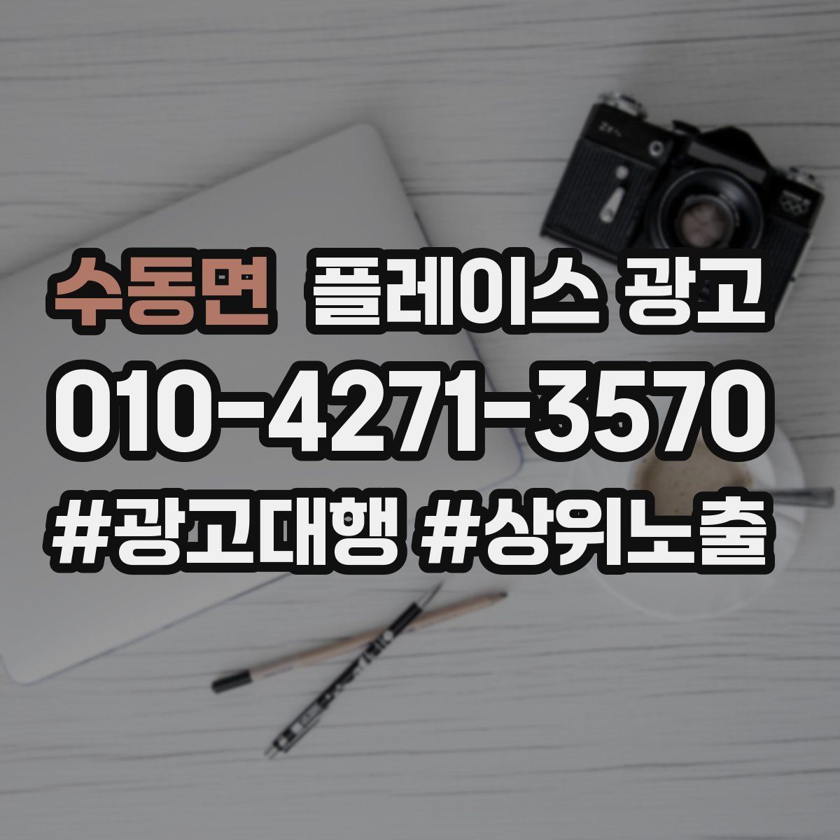수동면 플레이스 광고