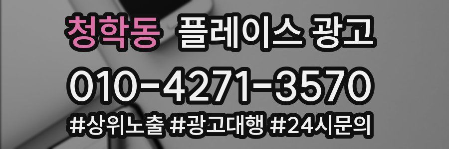 청학동 플레이스 광고