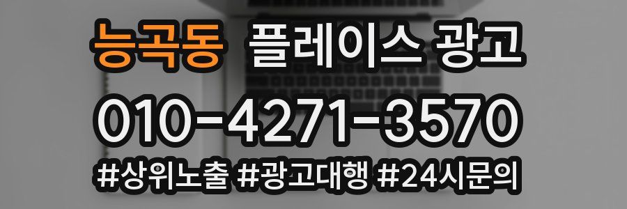 능곡동 플레이스 광고