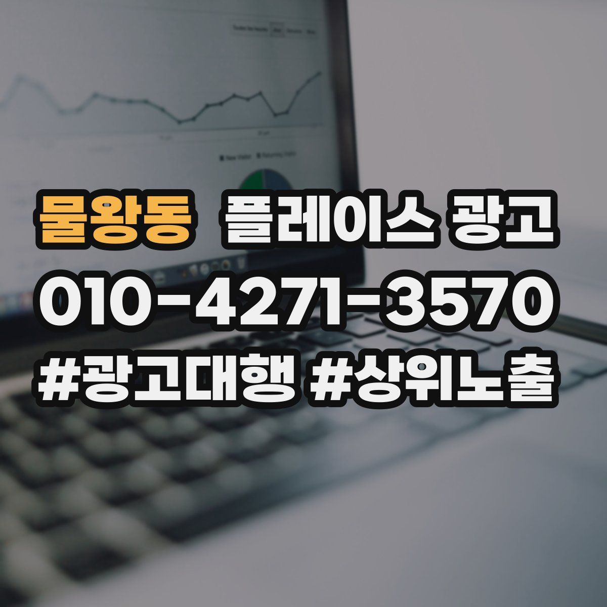 물왕동 플레이스 광고