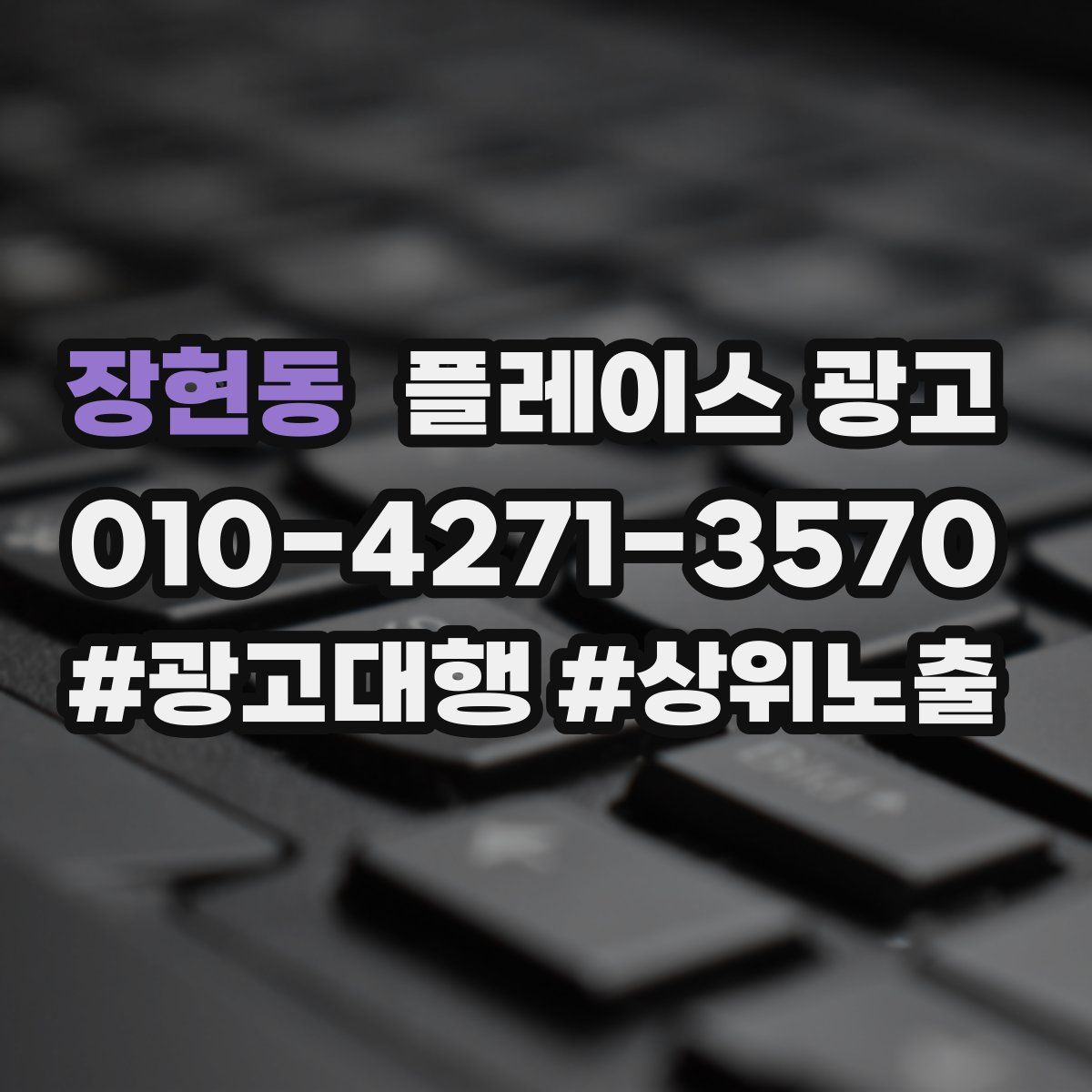 장현동 플레이스 광고