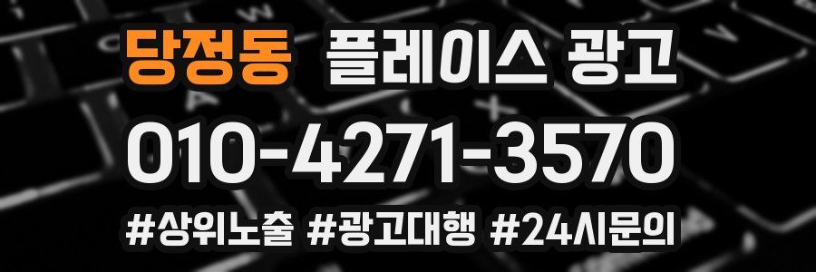 당정동 플레이스 광고