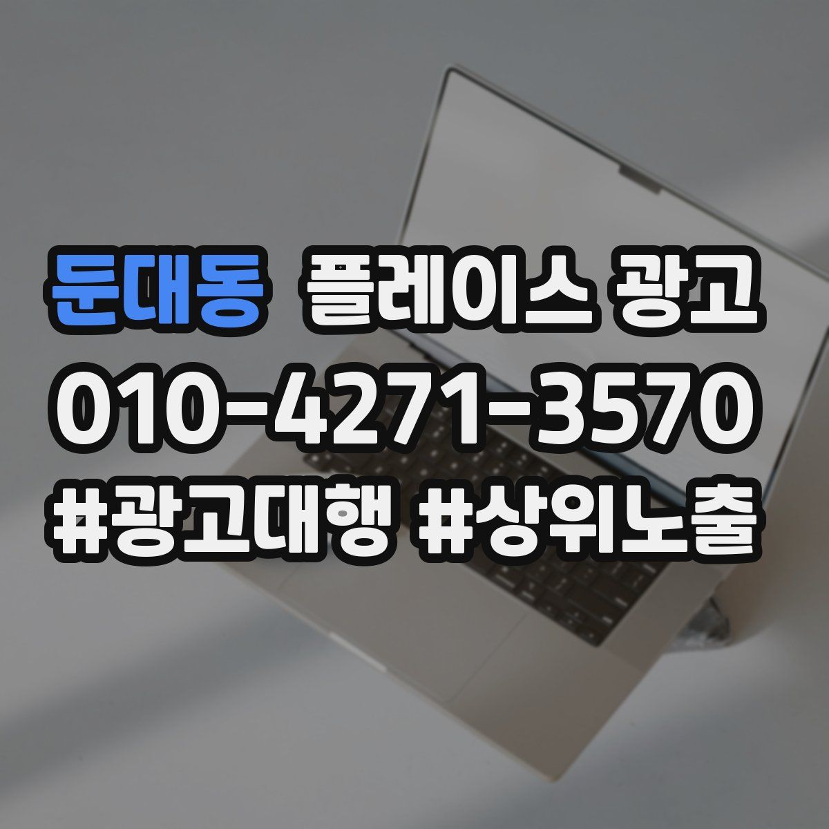 둔대동 플레이스 광고