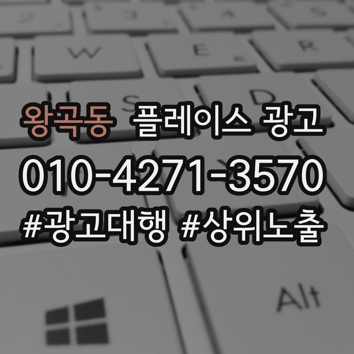 왕곡동 플레이스 광고