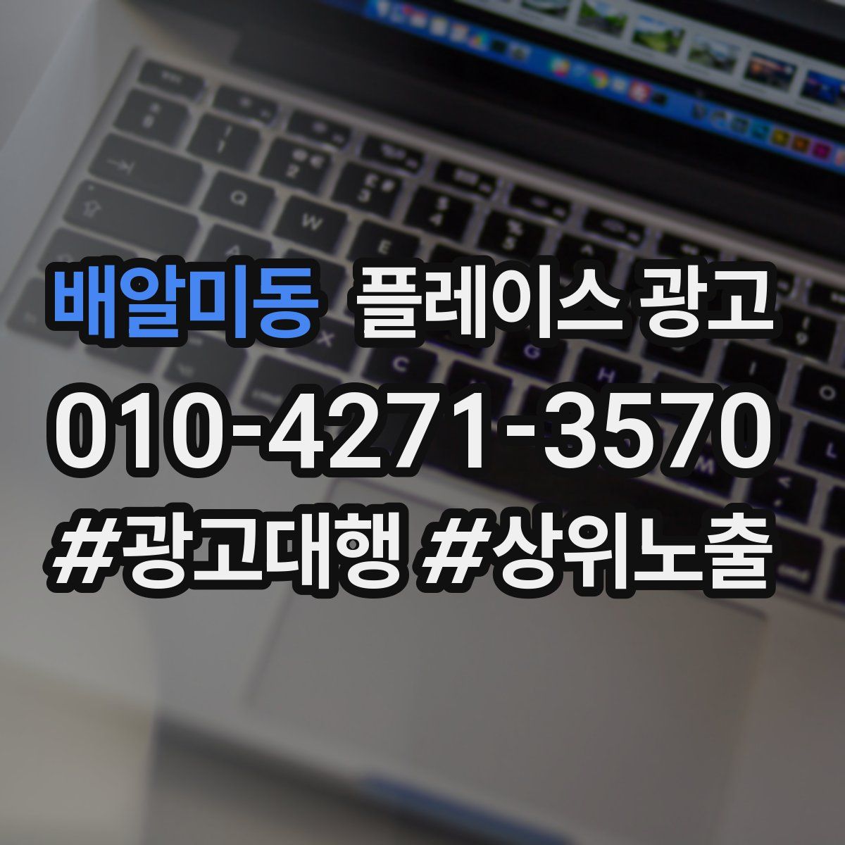 배알미동 플레이스 광고