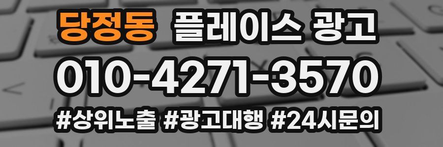 당정동 플레이스 광고