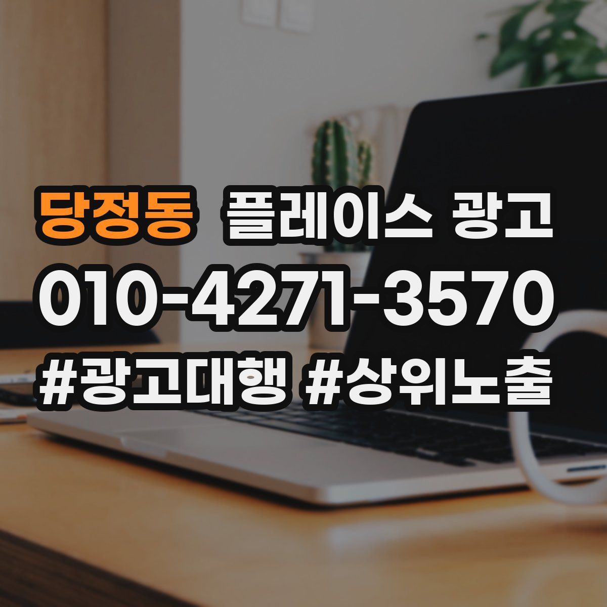 당정동 플레이스 광고
