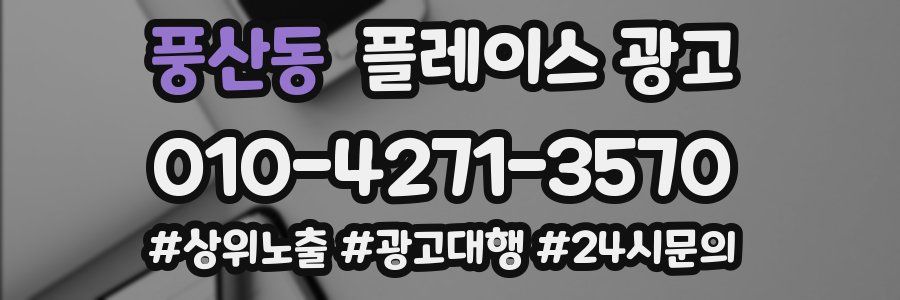 풍산동 플레이스 광고