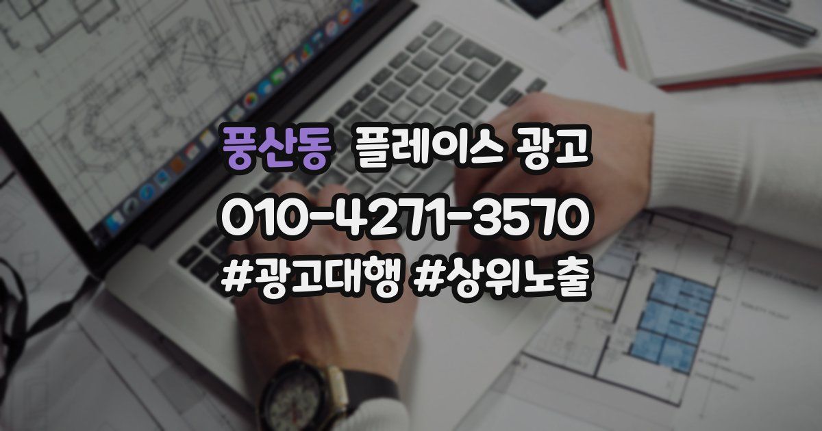풍산동 플레이스 광고