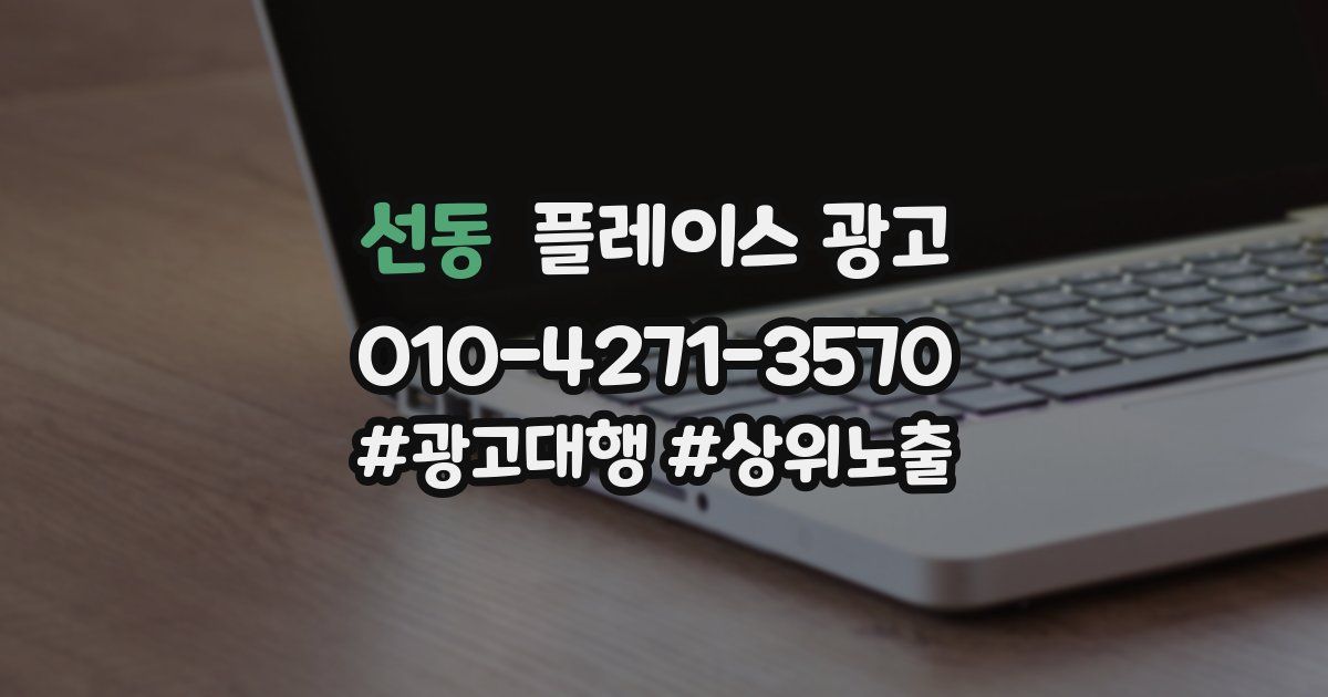 선동 플레이스 광고