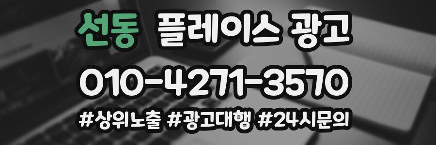 선동 플레이스 광고