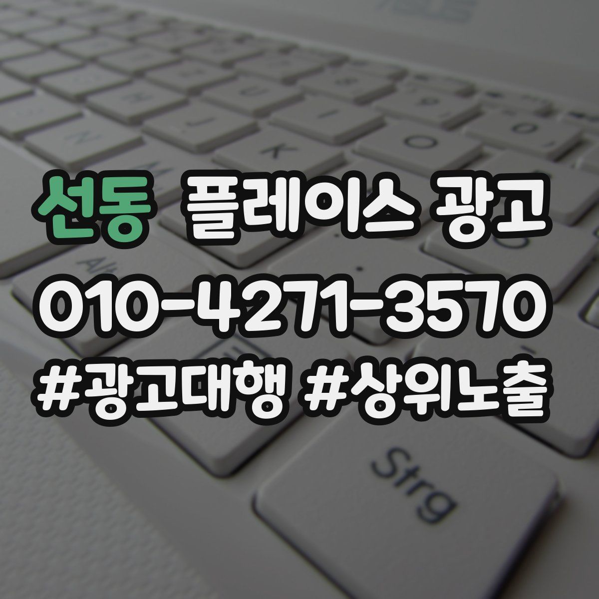 선동 플레이스 광고