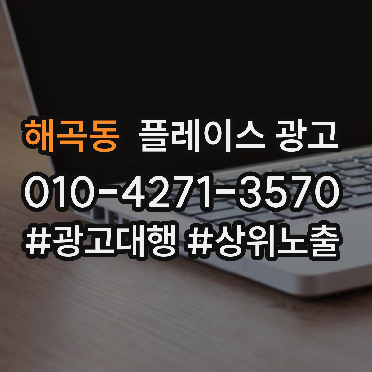 해곡동 플레이스 광고