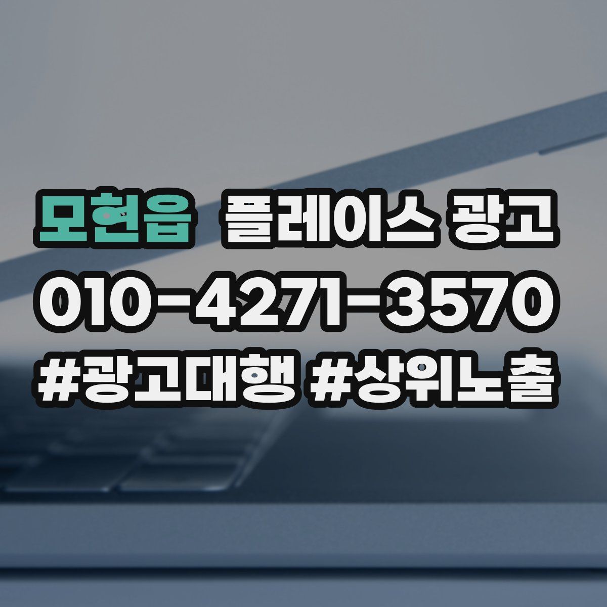 모현읍 플레이스 광고