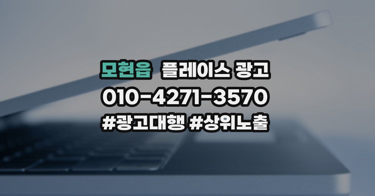 모현읍 플레이스 광고