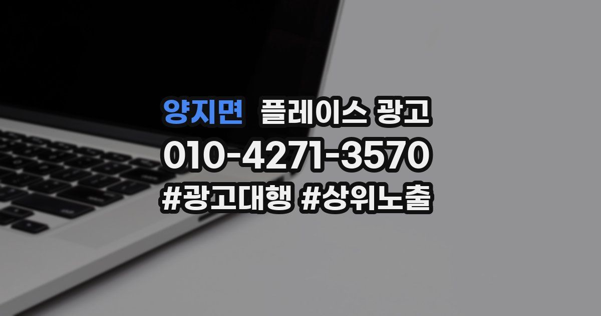 양지면 플레이스 광고