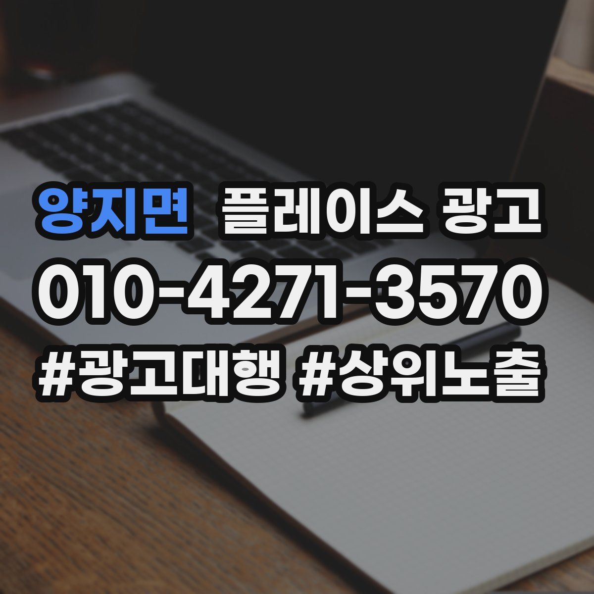 양지면 플레이스 광고