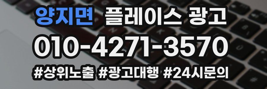 양지면 플레이스 광고