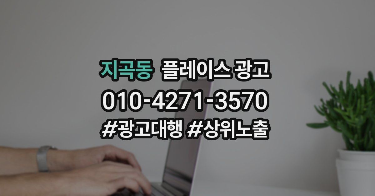 지곡동 플레이스 광고