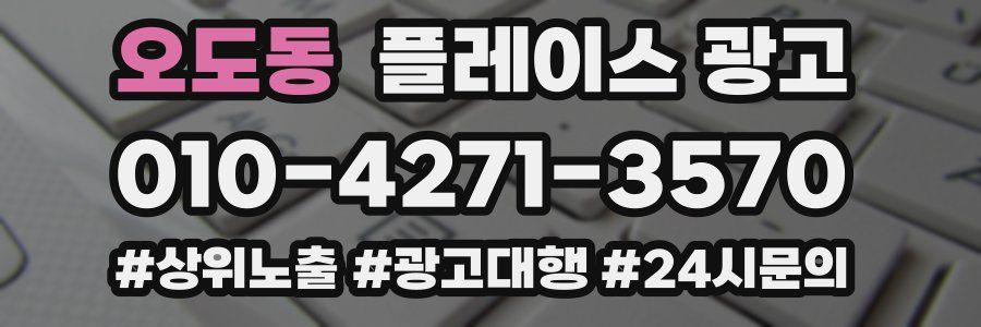 오도동 플레이스 광고