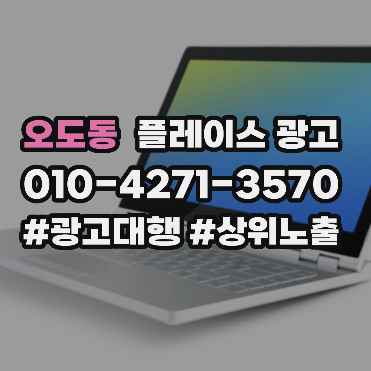 오도동 플레이스 광고