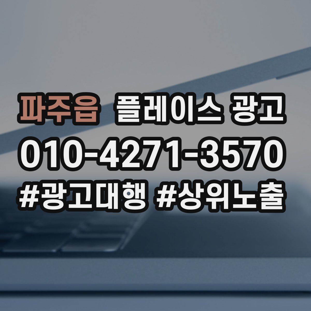 파주읍 플레이스 광고