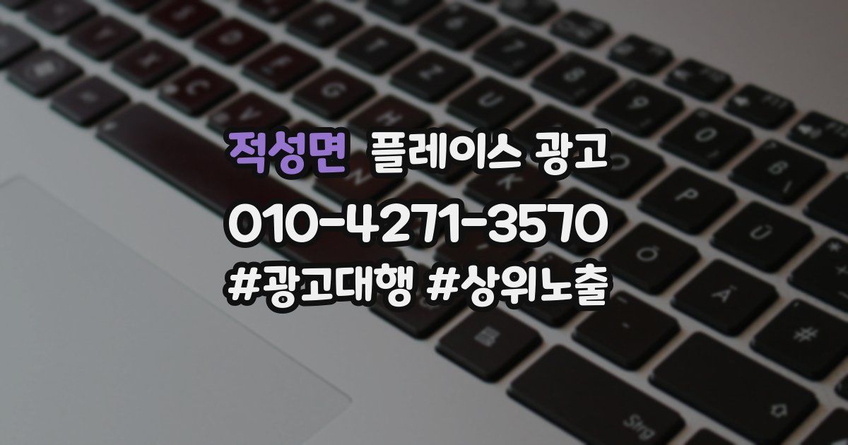 적성면 플레이스 광고