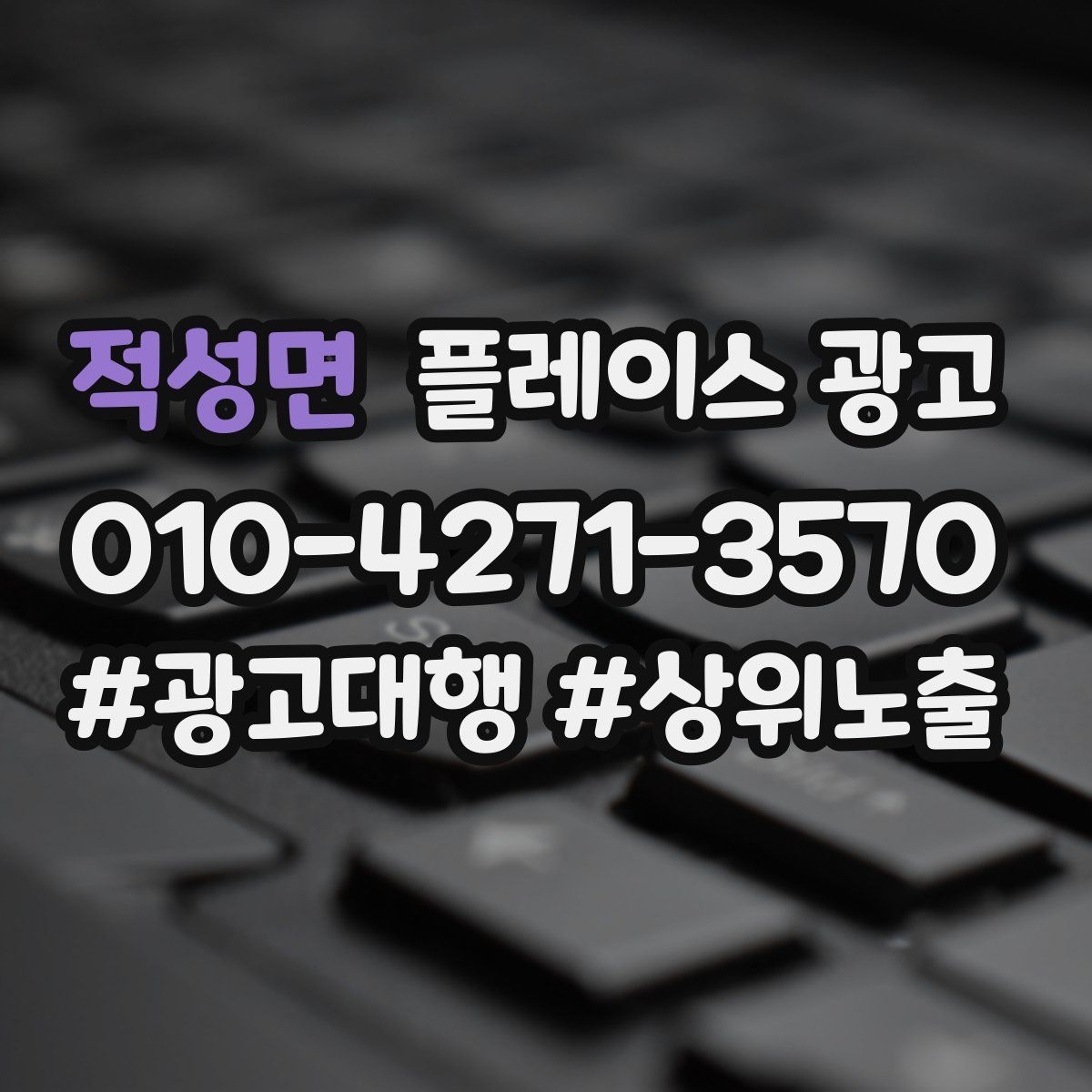 적성면 플레이스 광고