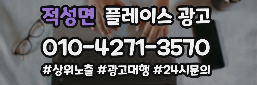 적성면 플레이스 광고