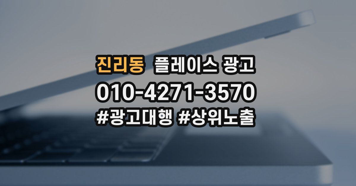 진리동 플레이스 광고