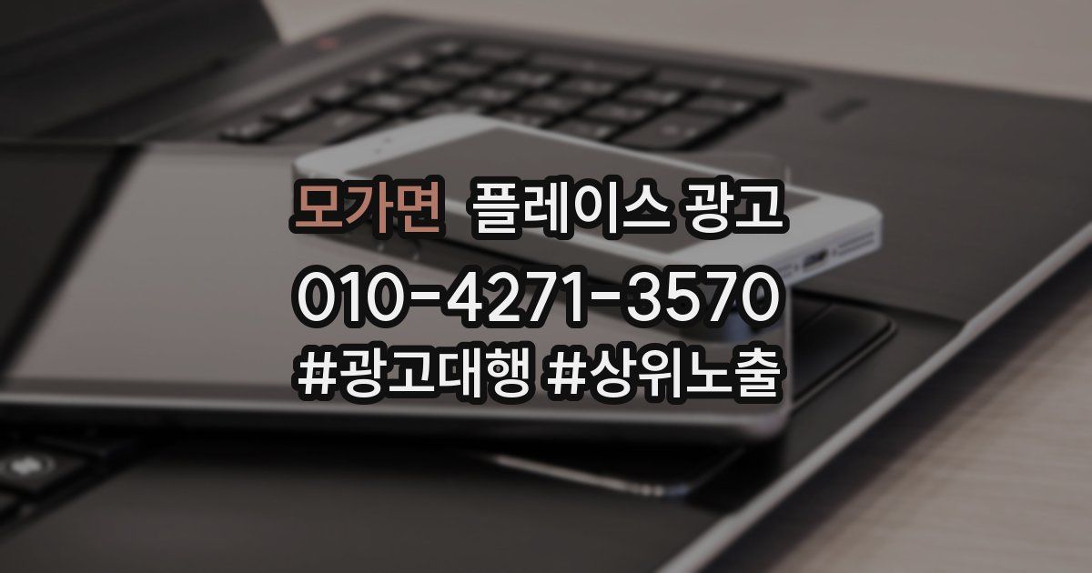 모가면 플레이스 광고