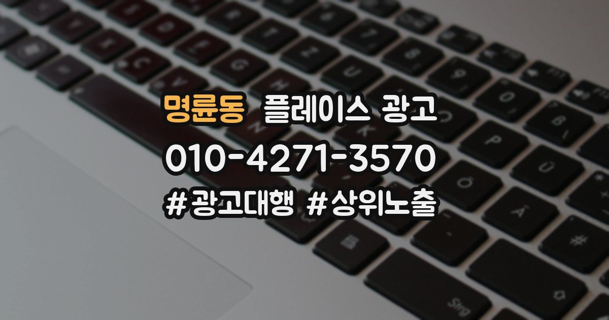 명륜동 플레이스 광고
