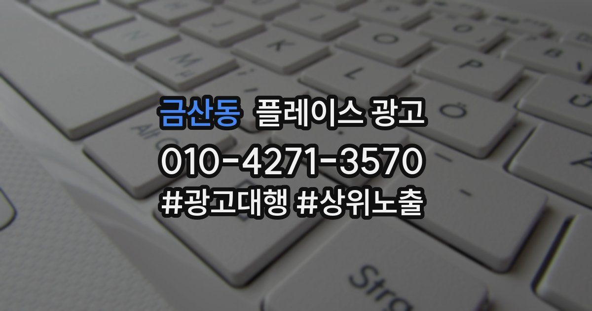 금산동 플레이스 광고