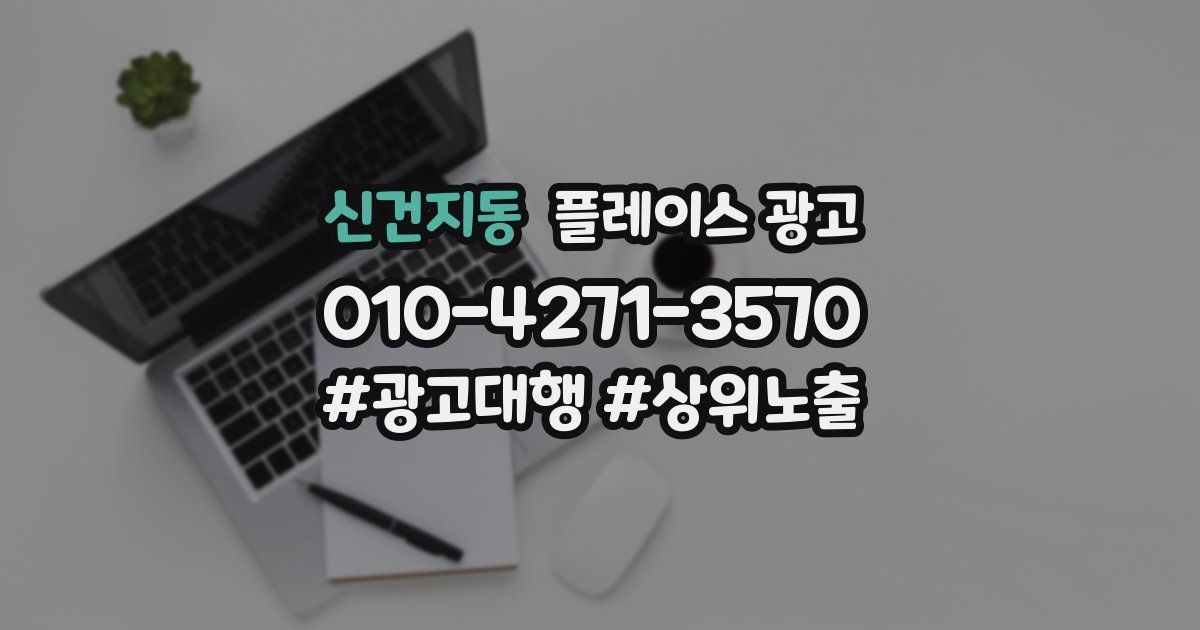 신건지동 플레이스 광고