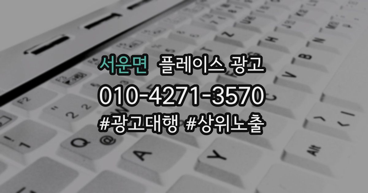 서운면 플레이스 광고