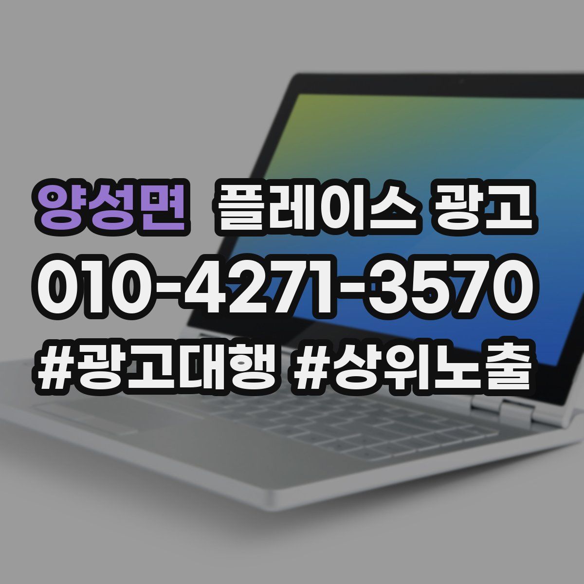 양성면 플레이스 광고
