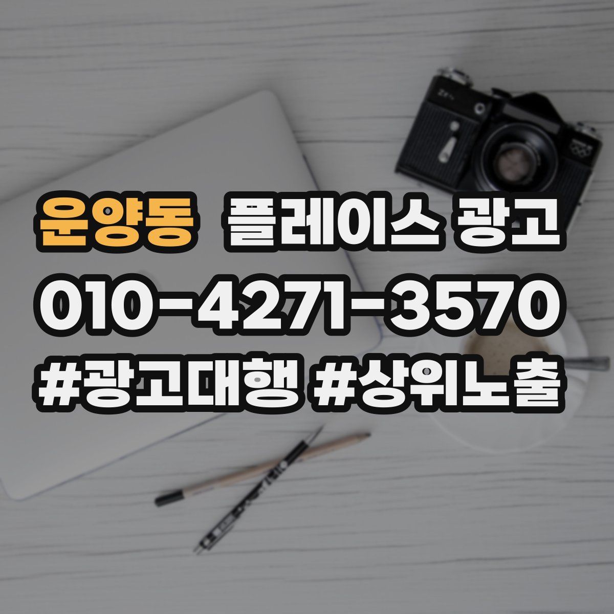운양동 플레이스 광고