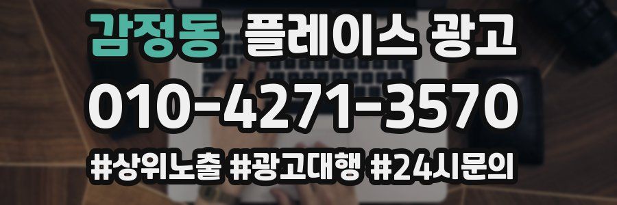 감정동 플레이스 광고