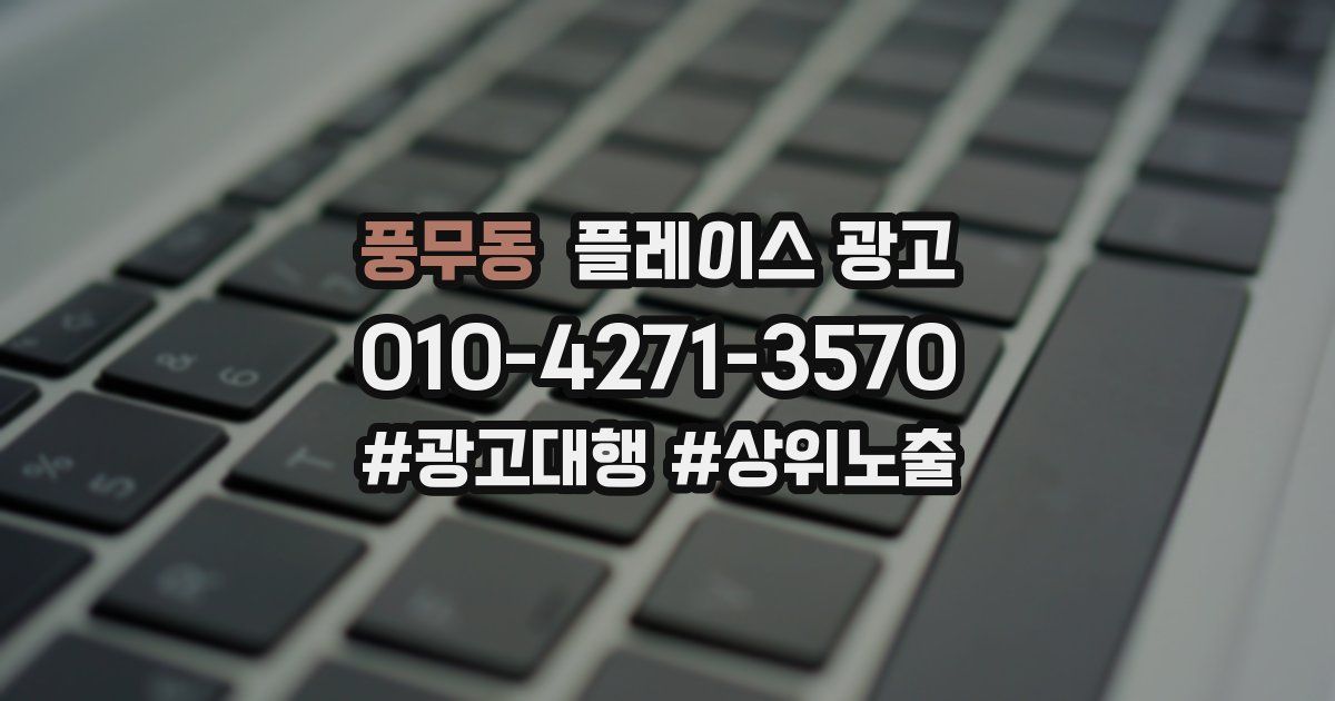 풍무동 플레이스 광고