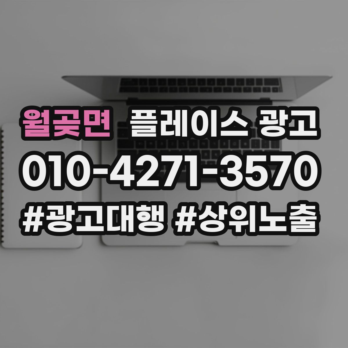 월곶면 플레이스 광고