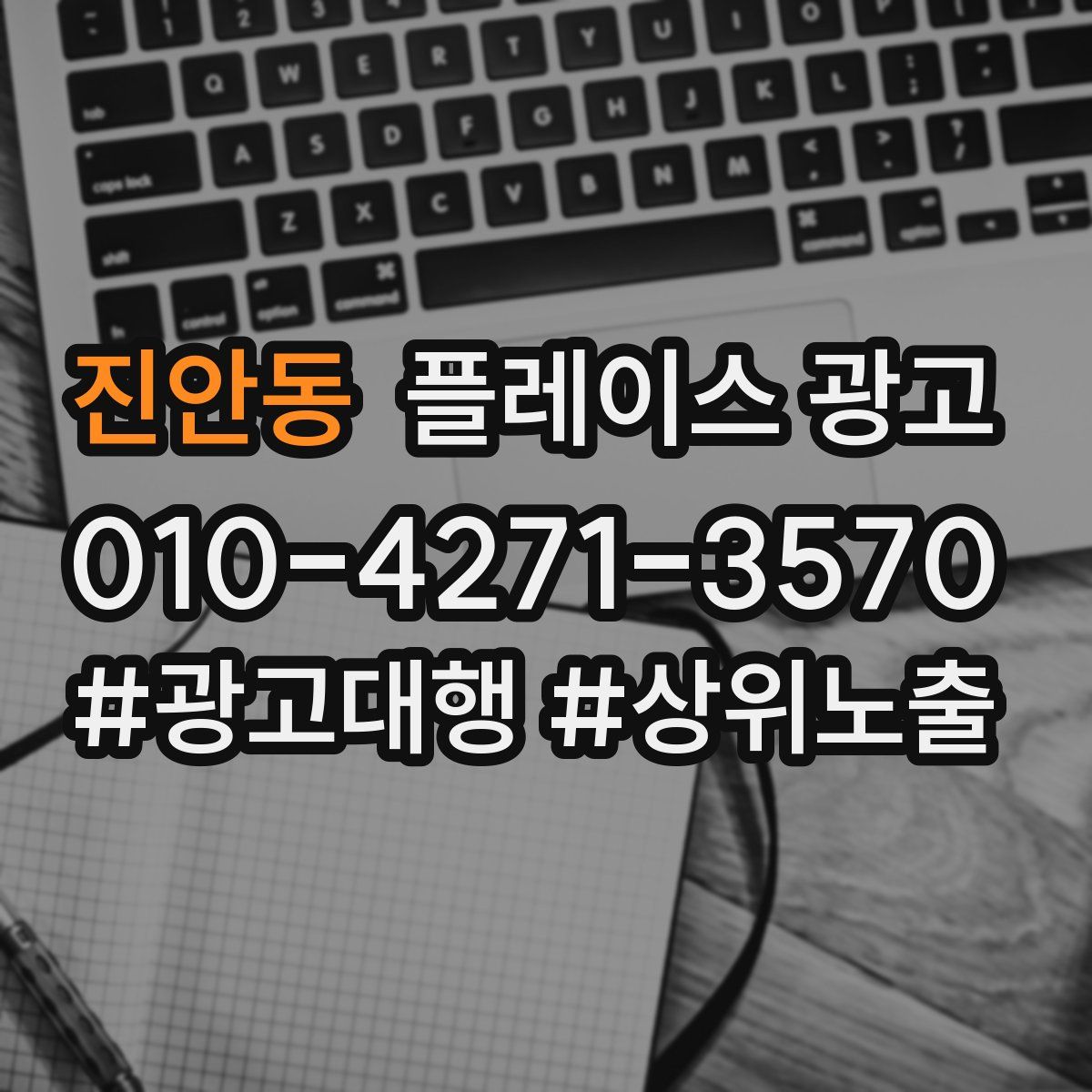 진안동 플레이스 광고
