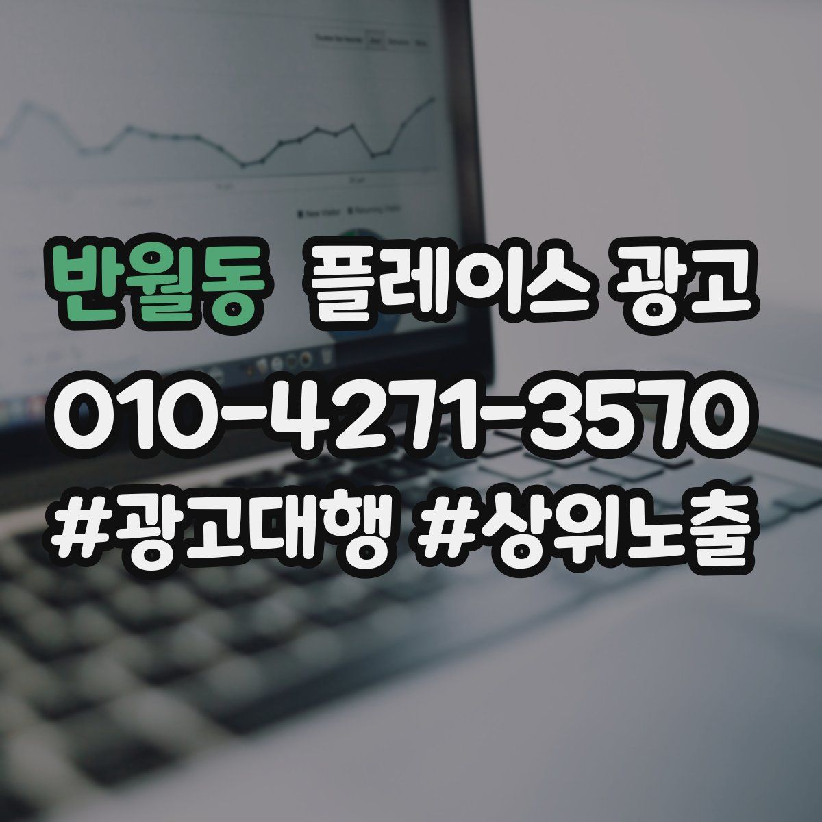 반월동 플레이스 광고