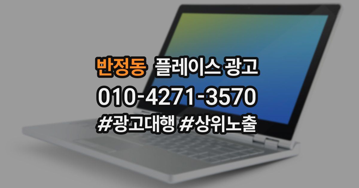 반정동 플레이스 광고
