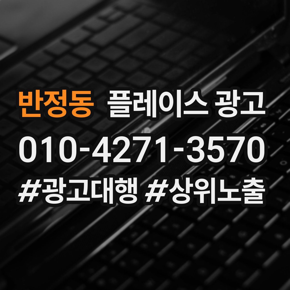 반정동 플레이스 광고
