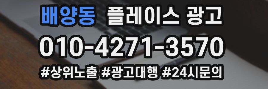 배양동 플레이스 광고
